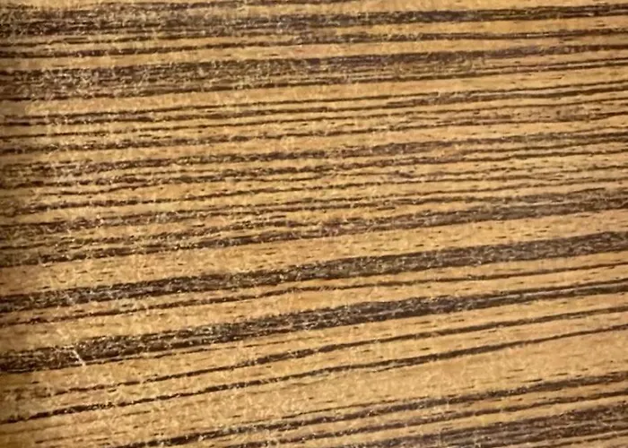 منازلنا للشقق المخدومة